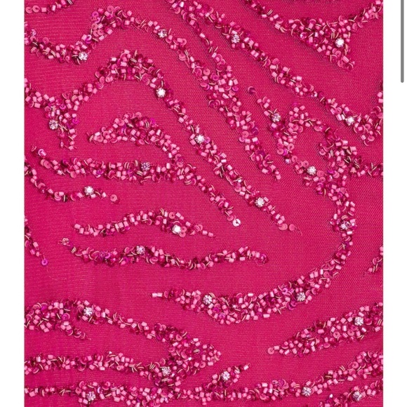 ❤️‍🔥RETROFETE Hendrix Dress in Fuchsia Rose Tiger Stripe - Picture 4 of 6